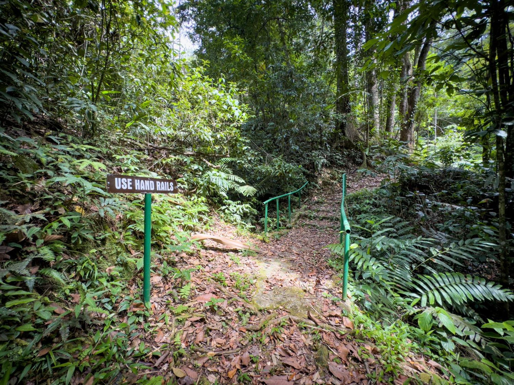 Hadco Experiences At Asa Wright Nature Centre Blanchisseuse Exterior photo